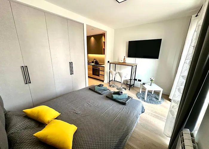 River Sight - Bw Simphony Bělehrad